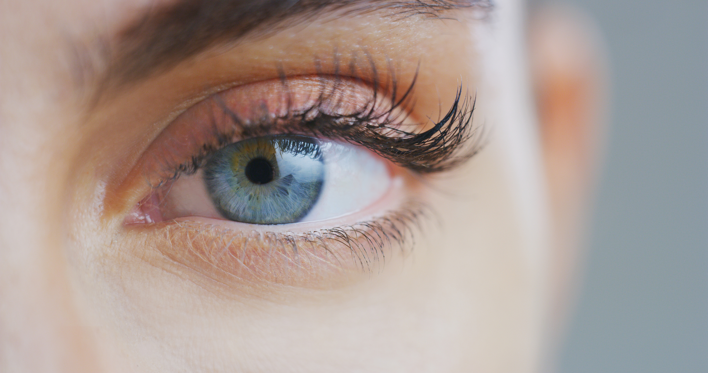 Understanding Distichiasis: Double Eyelashes Condition