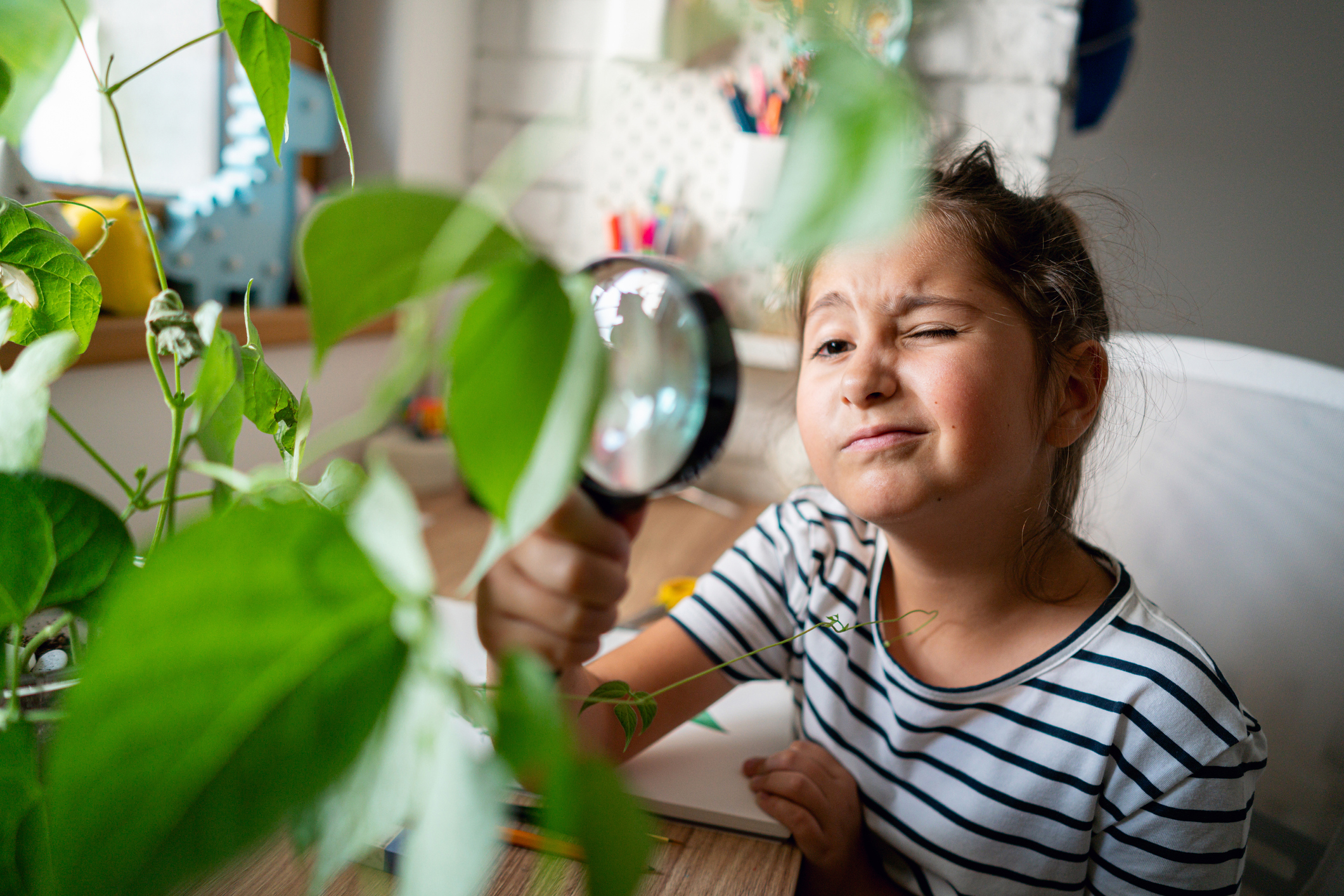 A Closer Look at Morning Glory Syndrome