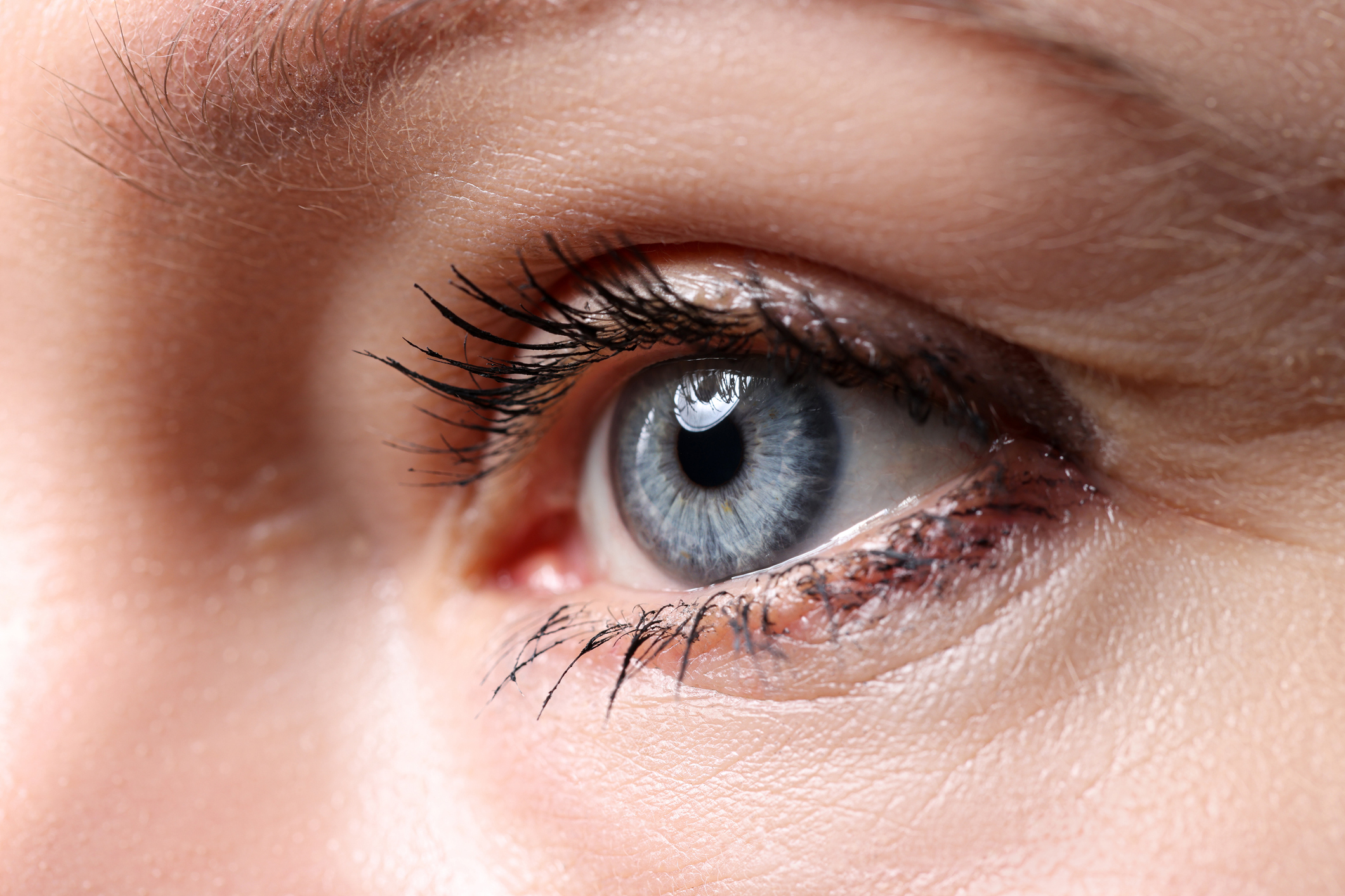 Embracing the Beauty and Functionality of Eyelids and Eyelashes