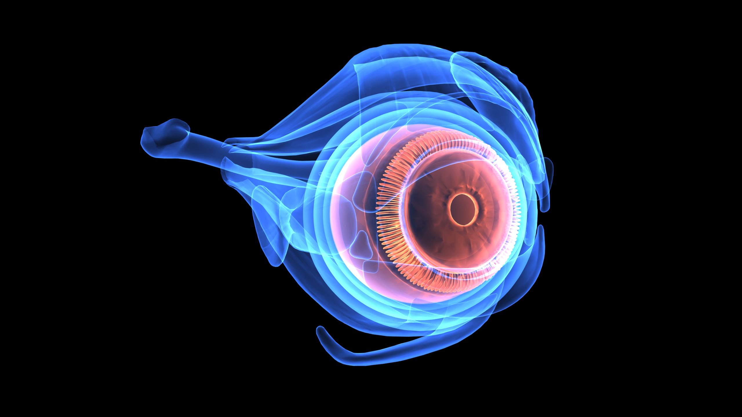 4D Imaging Technology for Real-Time Visualization of Eye Anatomy