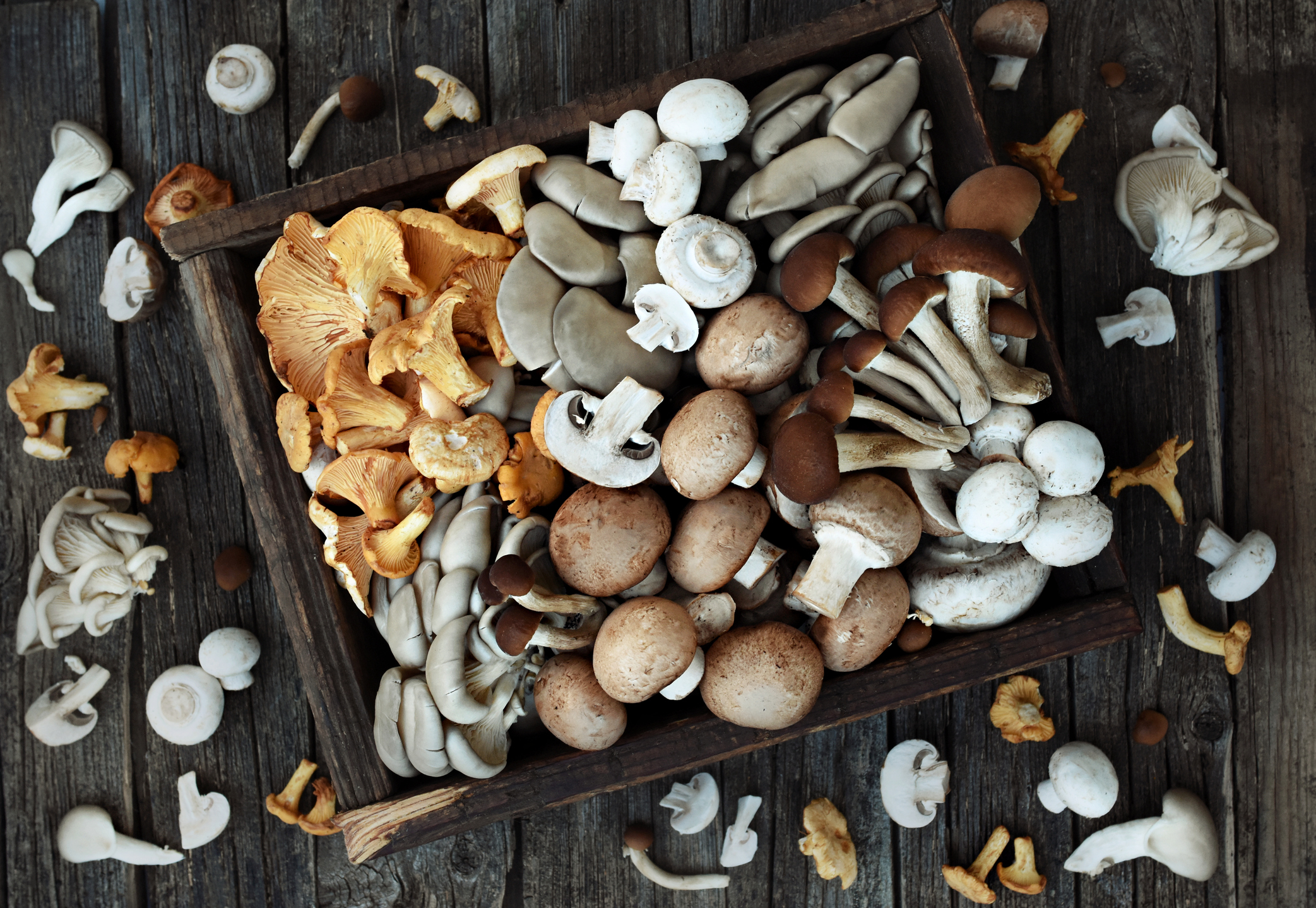 Mushroom Power for Immune Support and Eye Health