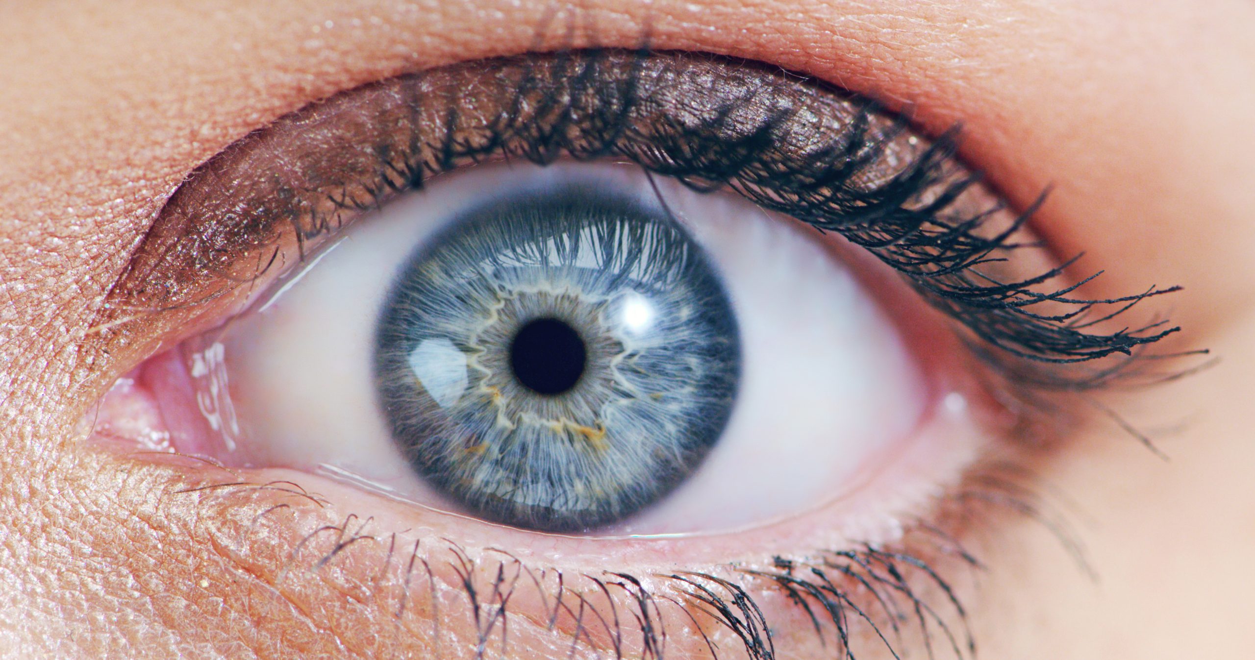 Delving Deep into Inherited Retinal Dystrophy