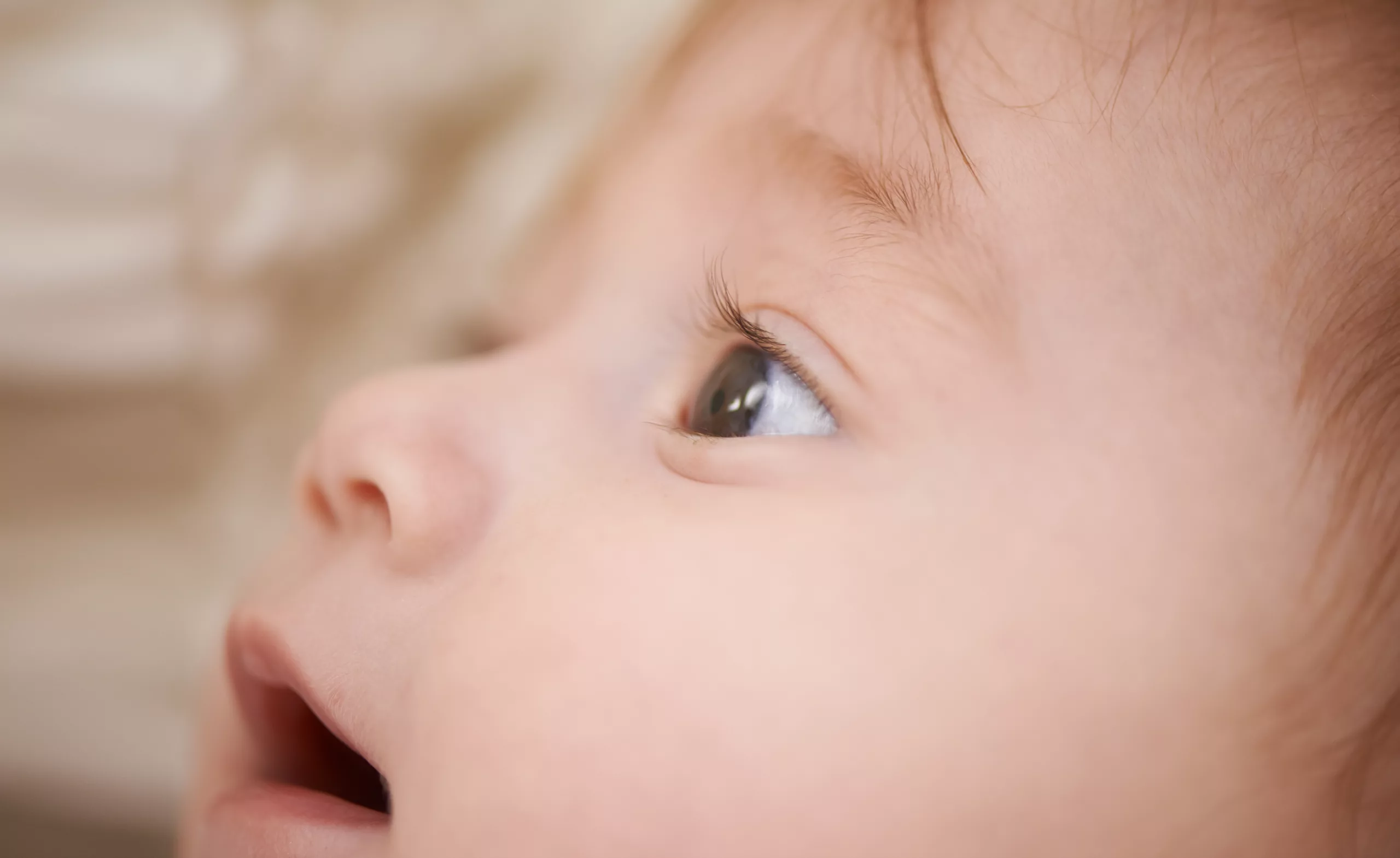 Comprehensive Guide to Neonatal Eyes